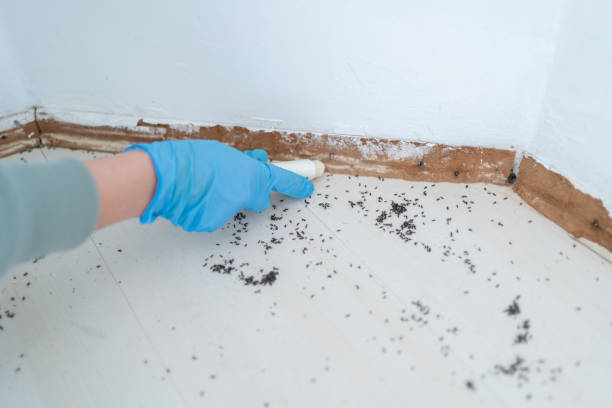 Best Residential Pest Control  in Griffin, GA